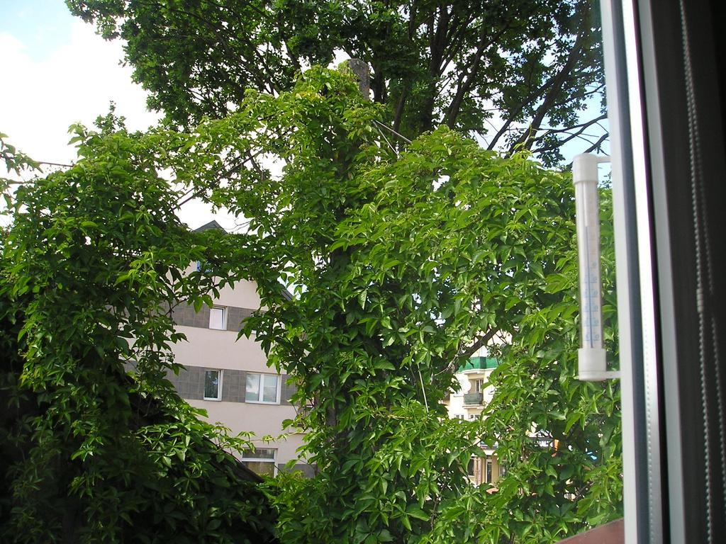 Pokoje Centrum U Ani Augustów Esterno foto